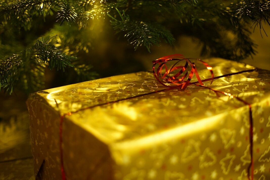 Comment accepter les paiements en Ripple avec Coingate - pixabay - christmas-gef9c16675_1280