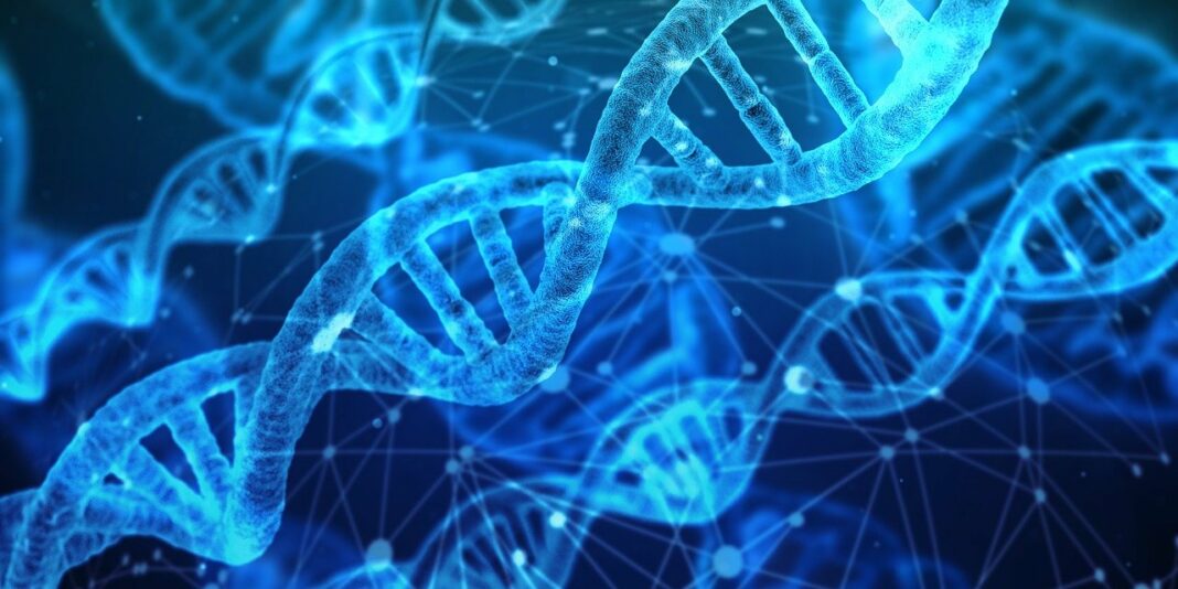 Tranglo ouvre une porte à Ripple en Asie du Sud-Est - pixabay - dna-g2472f5546_1280