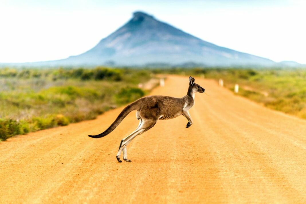 Ripple a annoncé que son Liquidity Hub s’étend à l’Australie - canva