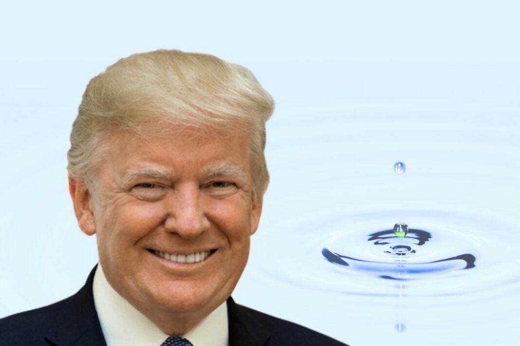 Trump mise sur le XRP de Ripple pour révolutionner la DeFi